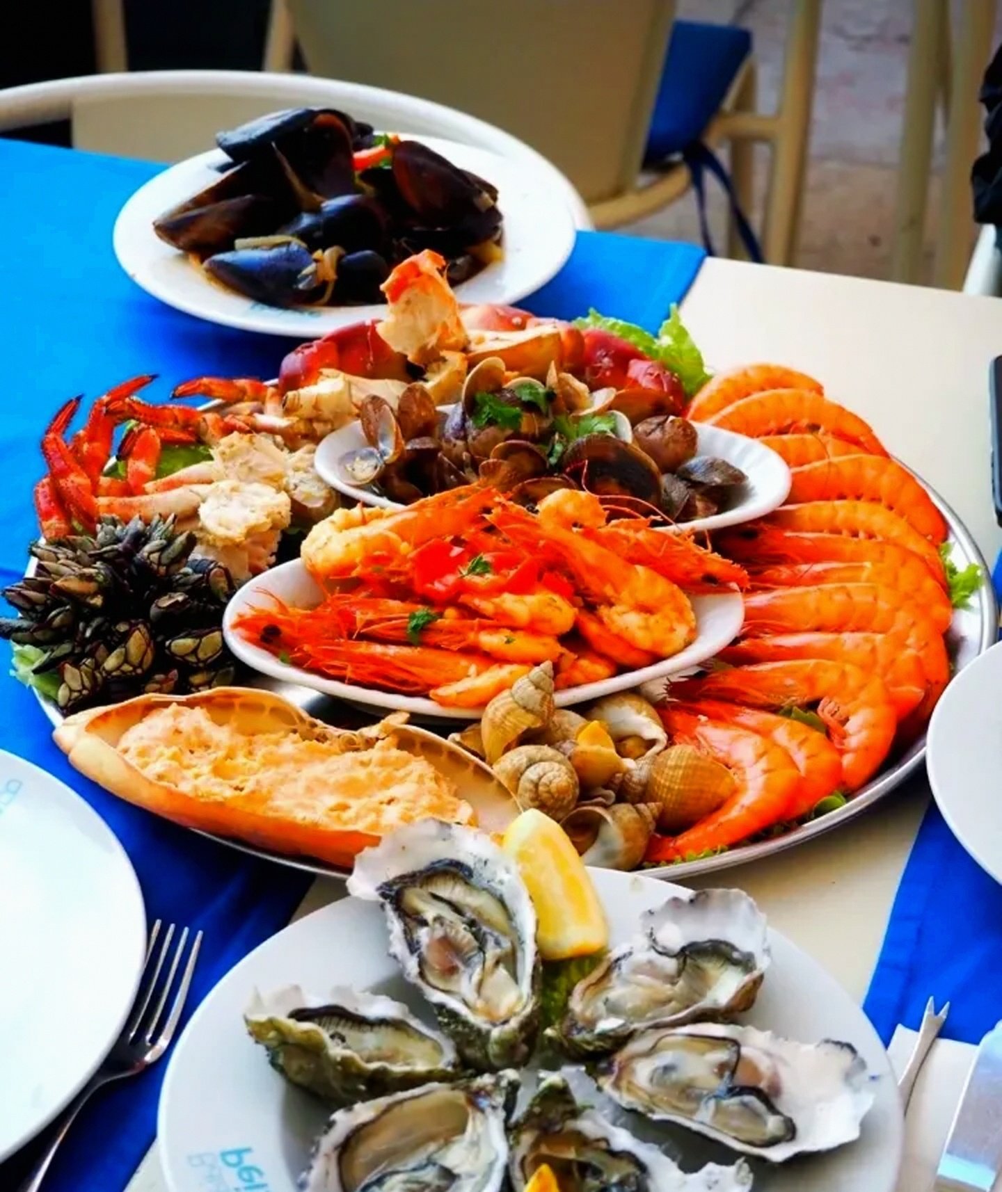 开云国际比赛日葡超传出新动向，皇家马德里造点机会，管理层表态：管理层满意，纪律约束更严格的简单介绍